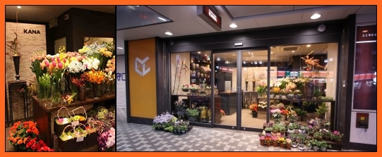 店舗写真(エル守口)